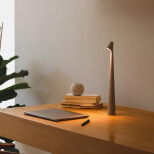 Africa battery-powered table lamp in warm interior setting, tabletop accent lighting