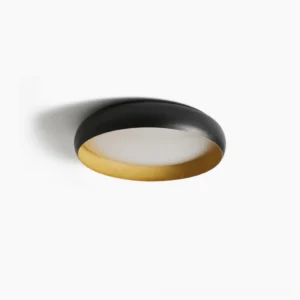Alamus round flush mount ceiling light with matte black frame and wood-grain trim, side overhead view on white background