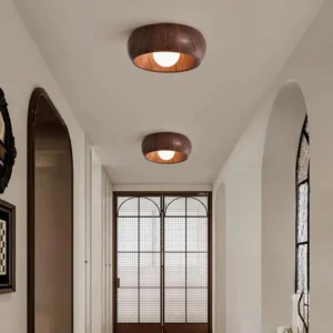 Alana Scandinavian ceiling light installed in minimalist arched hallway with grid glass door