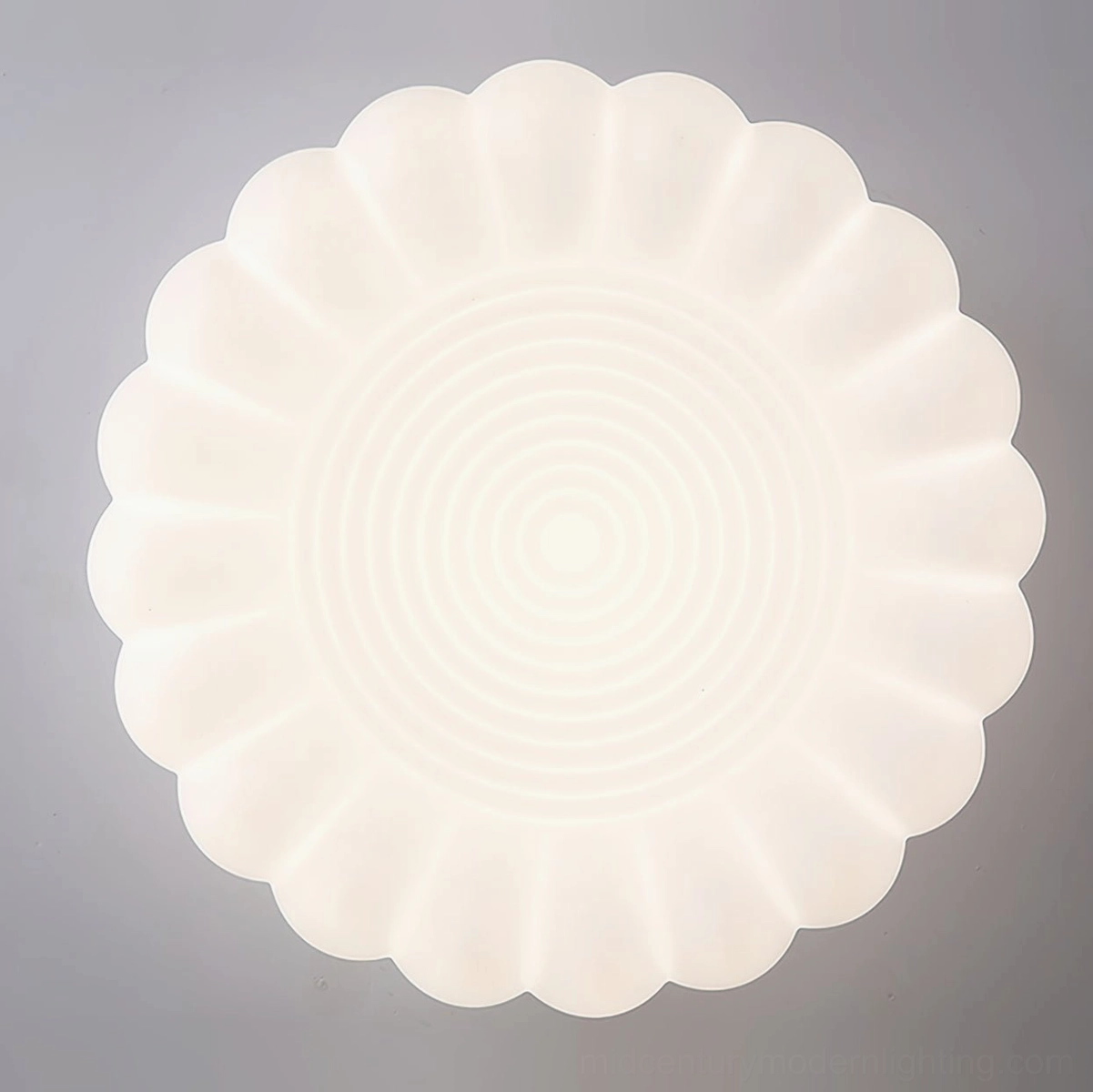 Alta modern minimalist ceiling lamp product photography neutral background detail shot
