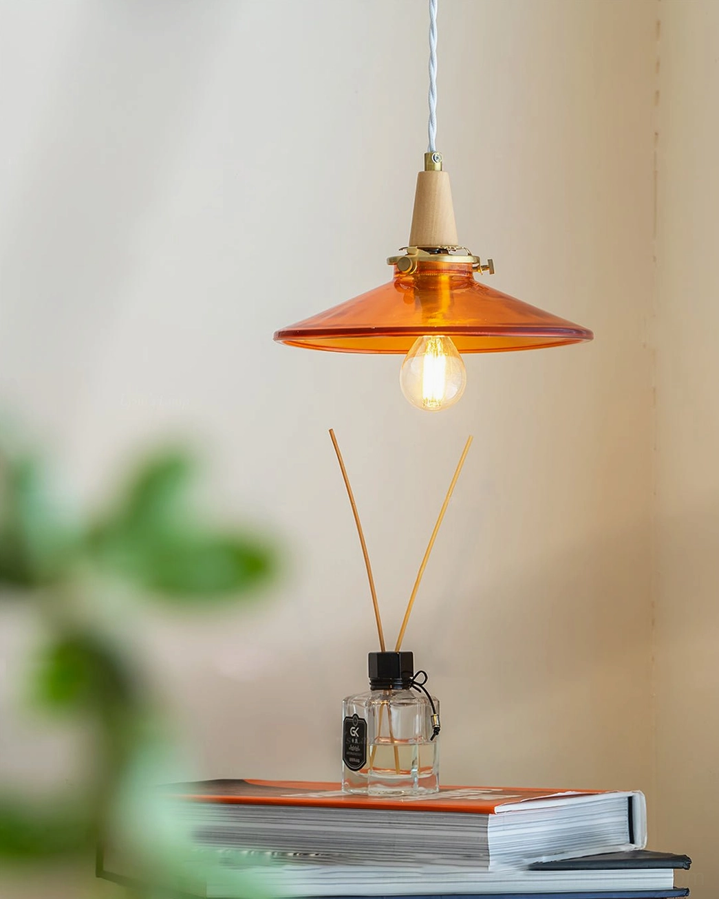 Side view of amber glass pendant with exposed Edison bulb filament, green potted plants in blurred foreground - transitional modern decor