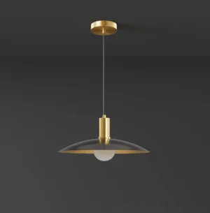 Black and brass Aplomb pendant light, contemporary luxury design with matte disc shade