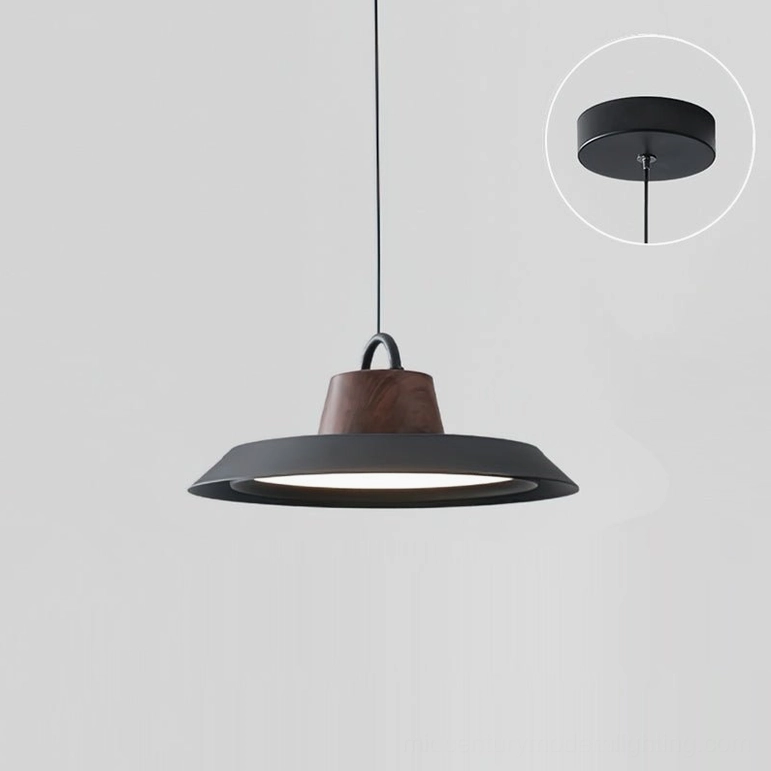 Arenal small 40cm disc pendant in black matte finish, perfect for focused ambient lighting