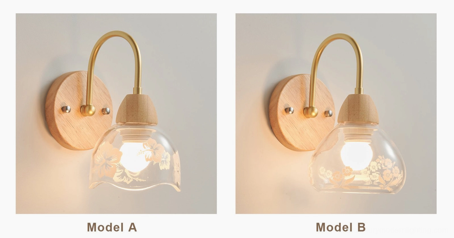 Armed wall sconce full product shot showing wood base, brass arm, and glass shade assembly