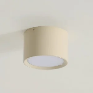 Asher ceiling fixture installed overhead on residential ceiling, compact profile flush mount lighting