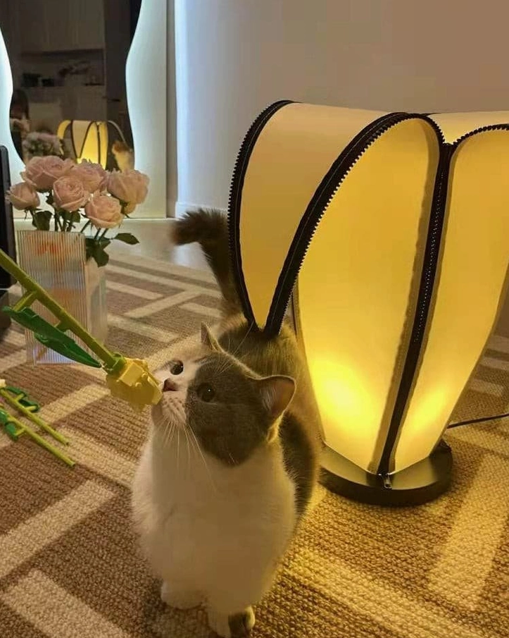 Adjustable banana table lamp creating warm glow in cozy bedroom with tabby cat and carpeted floor