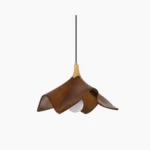 Bark pendant light with curved wooden shade and gold metal mounting, front studio view showing natural wood grain texture and walnut finish