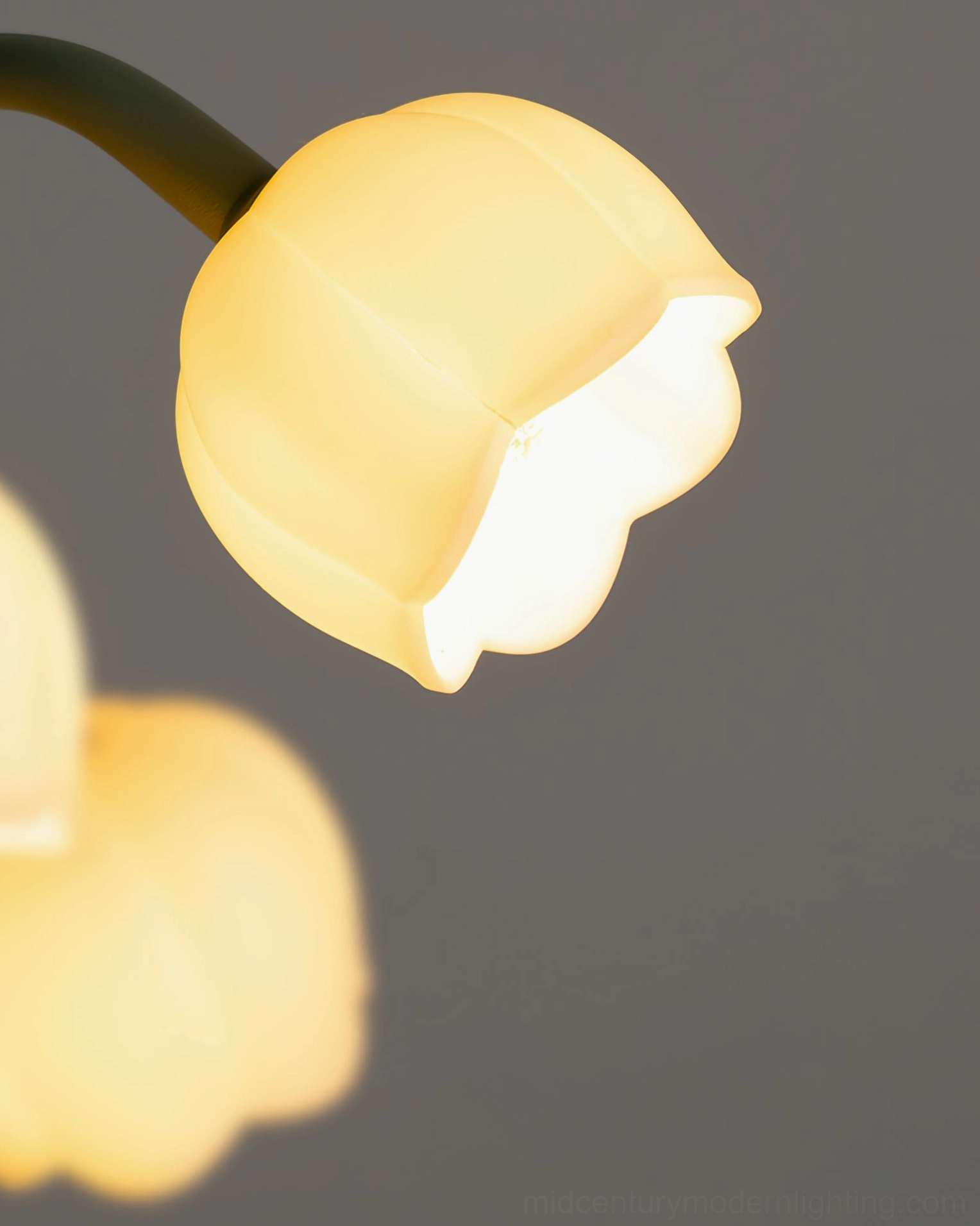 Bell Orchid Table Lamp glowing warmly on console table with modern minimalist interior styling