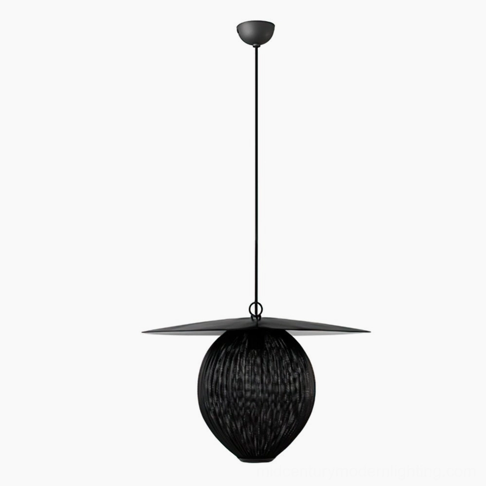 Black Satellite pendant light isolated product image on white background