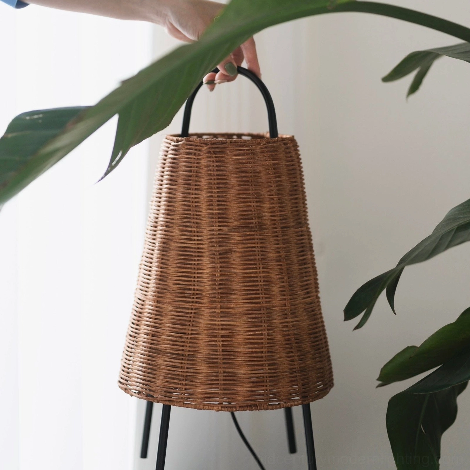Hand holding Catalina Coastal Table Lamp with woven rattan shade and black metal frame, indoor with green foliage backdrop