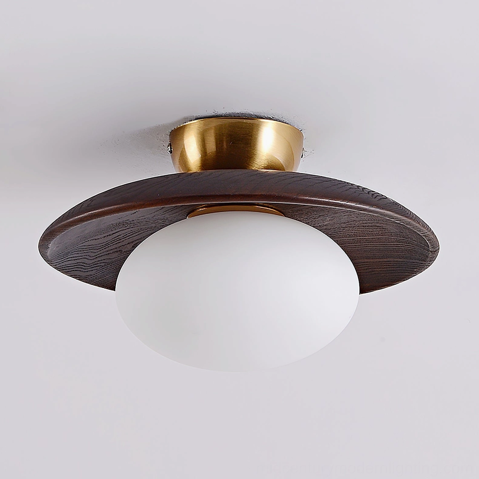 Cathy flush mount ceiling lamp side detail showing dark wood tray, polished brass mount, and frosted globe