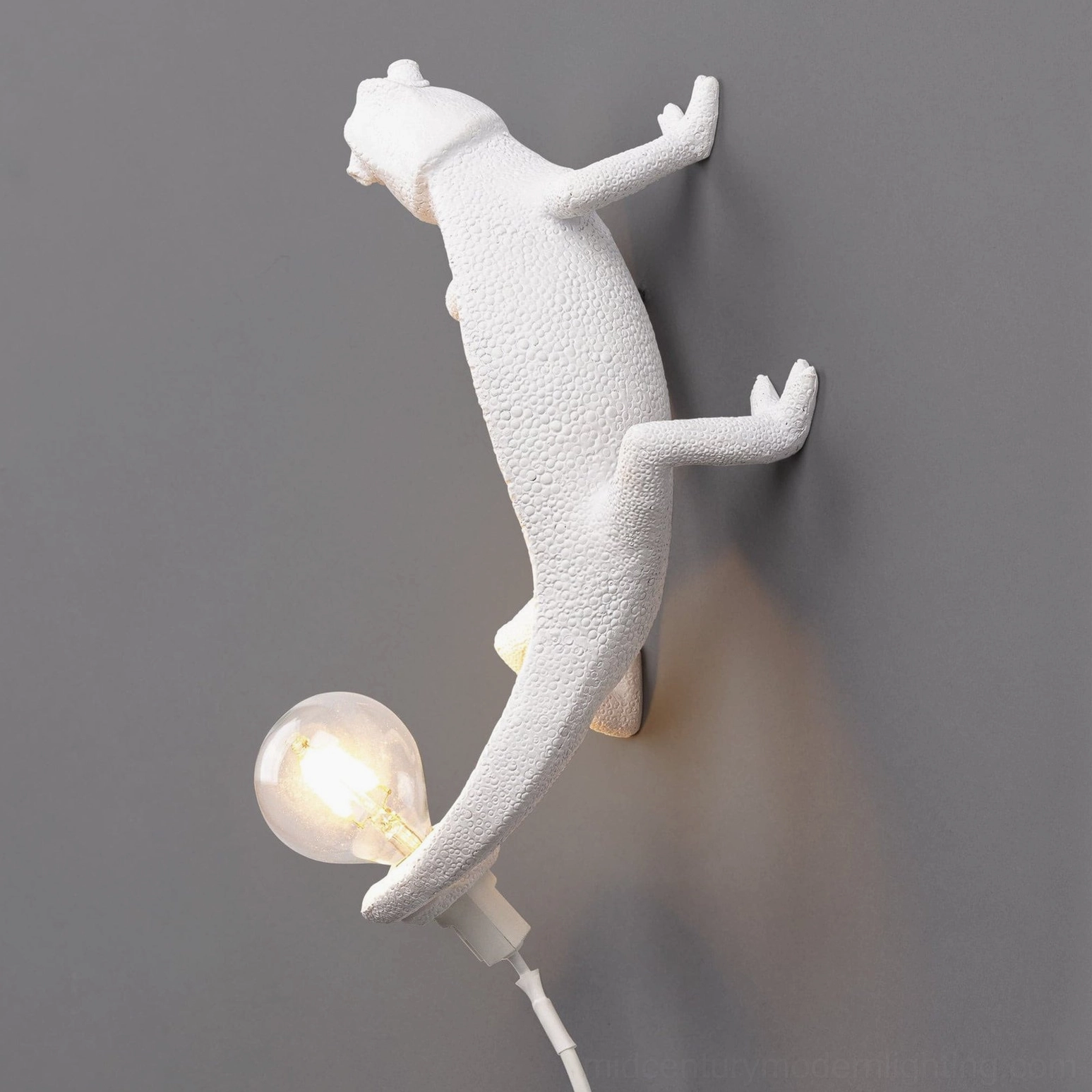 White matte resin chameleon wall light with coiled tail detail and bulb socket
