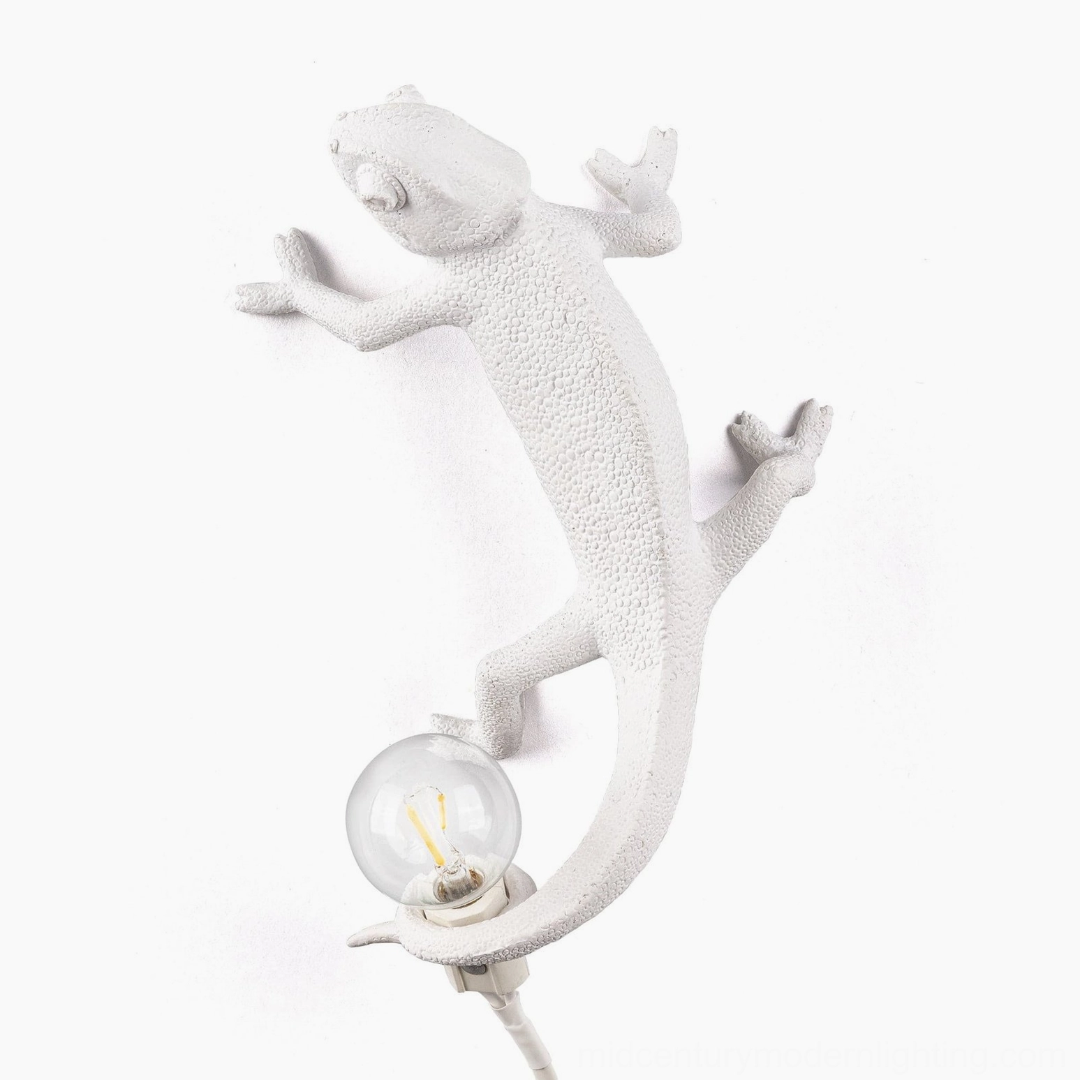 Chameleon wall light with warm bulb glow, sculptural resin modern lighting for bedrooms