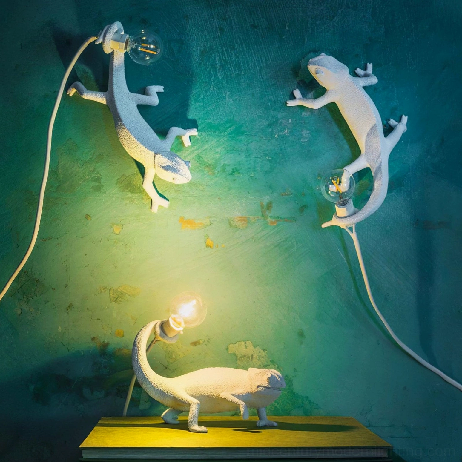 Three chameleon wall lights displayed on vintage wooden tabletop, mid-century modern interior setting