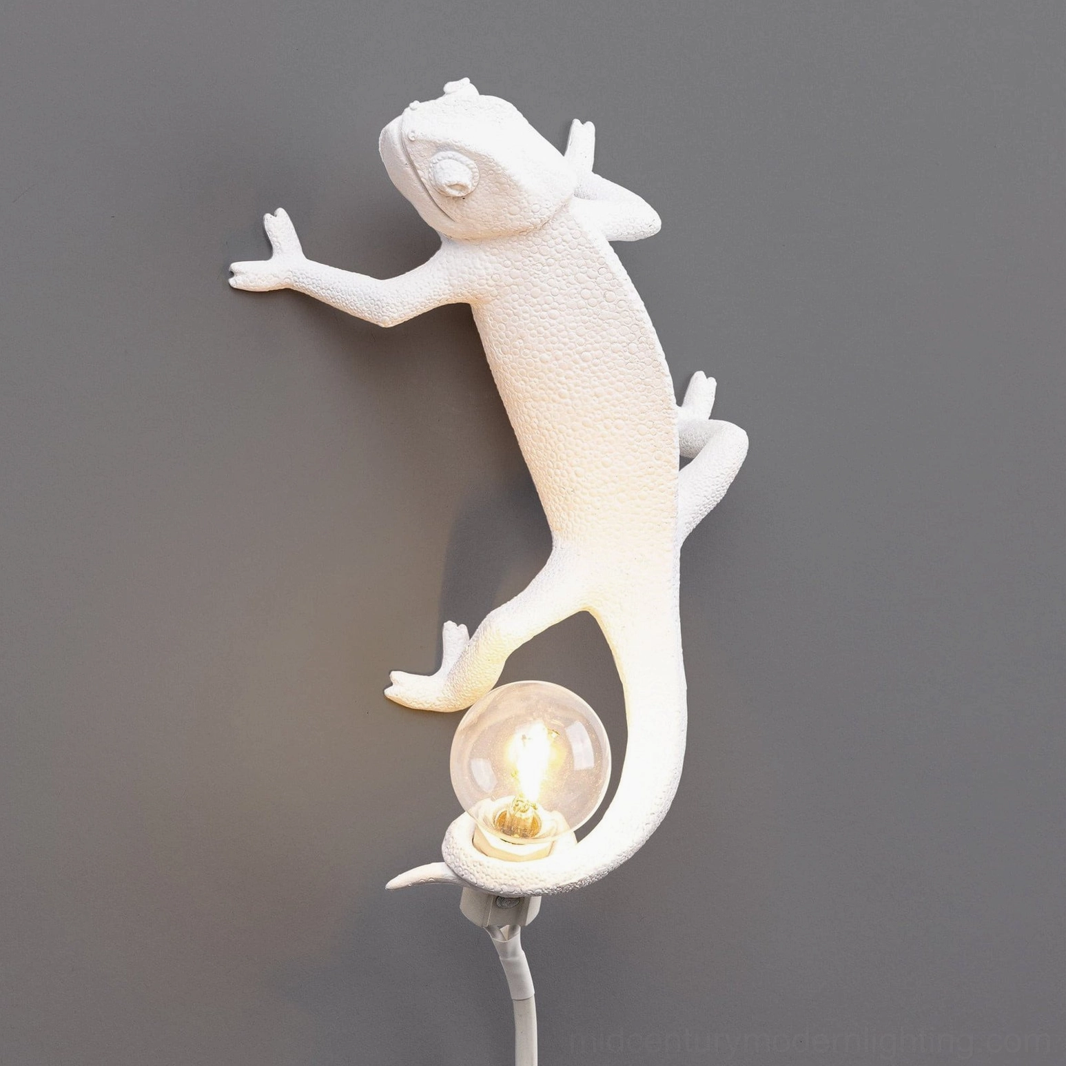 Chameleon wall sconce sculptural resin fixture, modern organic lighting for mid-century interiors