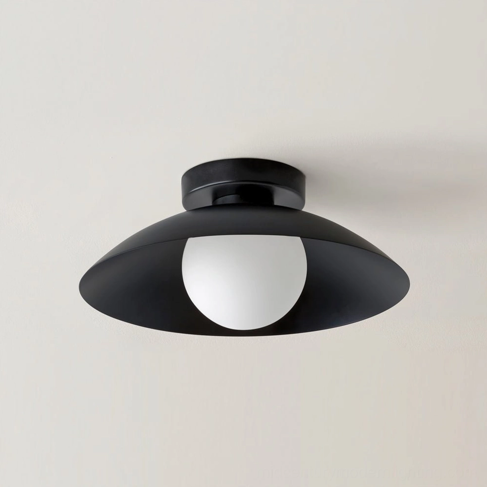 Danoise black flush mount ceiling lamp Scandinavian design contemporary interior decoration