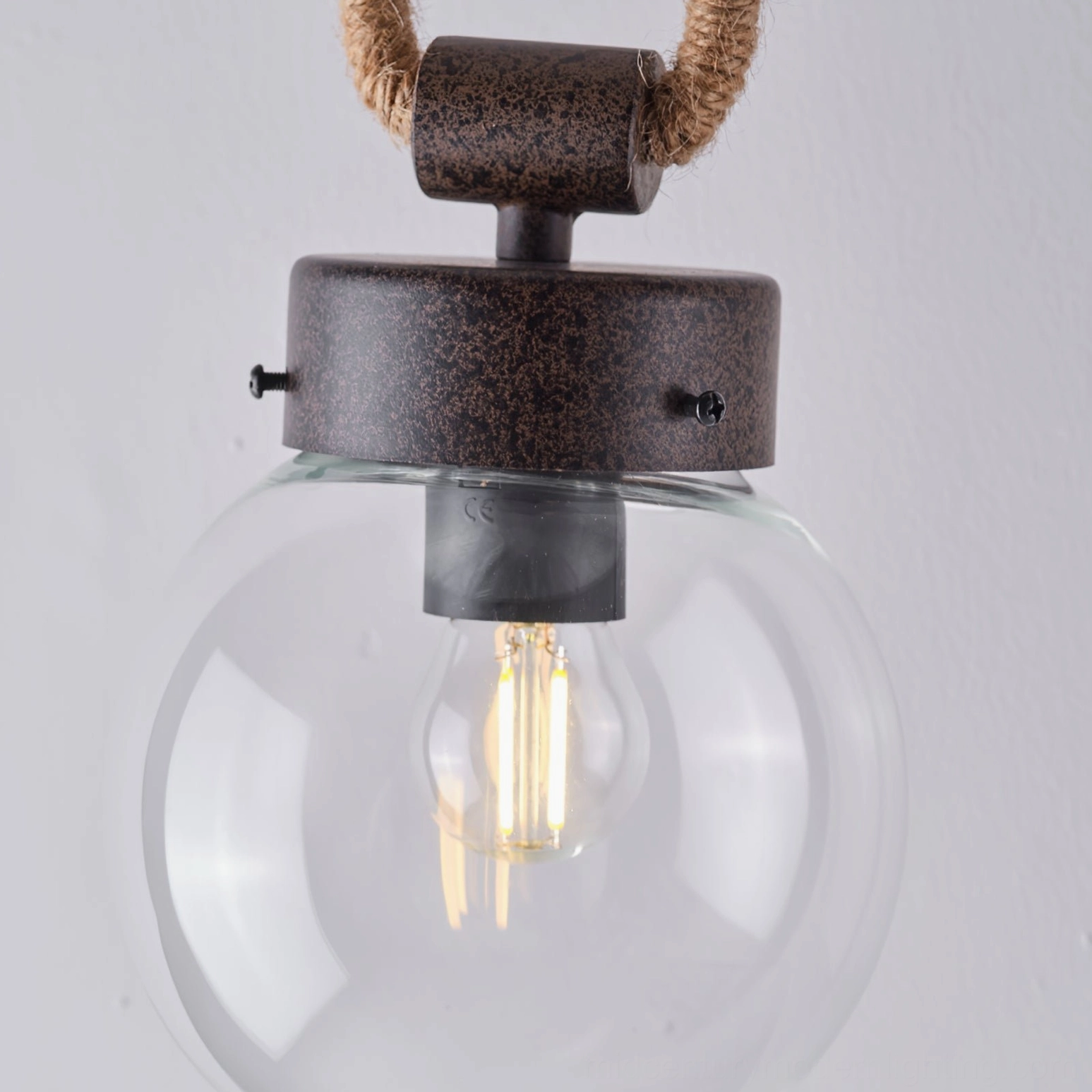 Dillon lamp clear glass globe shade with visible Edison filament bulb and metal hardware close-up