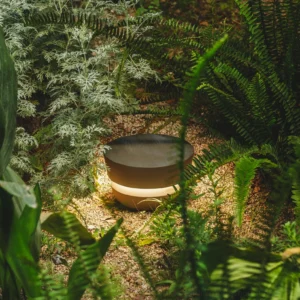 Dots solar outdoor lamp embedded in garden with fern foliage - warm ambient light glow in landscape setting