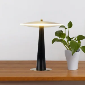 Black and gold drum table lamp illuminated on wooden table with green plant accent