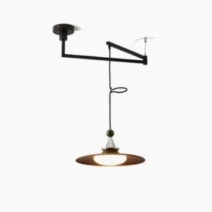 Eden swing arm pendant light with adjustable arm, black metal frame and warm wood-grain saucer shade with green spherical accent cap displayed against white studio background