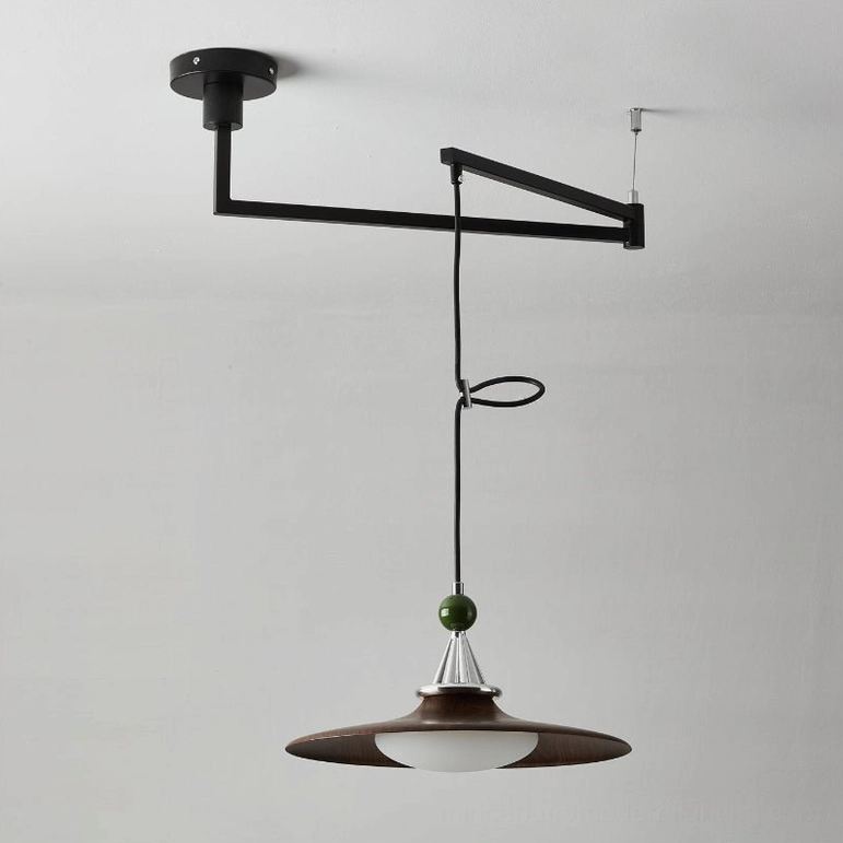 Eden swing arm pendant light in walnut and black finish displayed in studio setting showing color palette and shade proportions