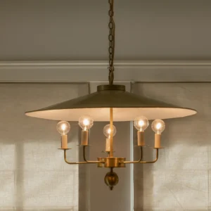 Close-up detail of Gideon pendant chandelier showing brass hardware, matte disc shade, and warm metal patina