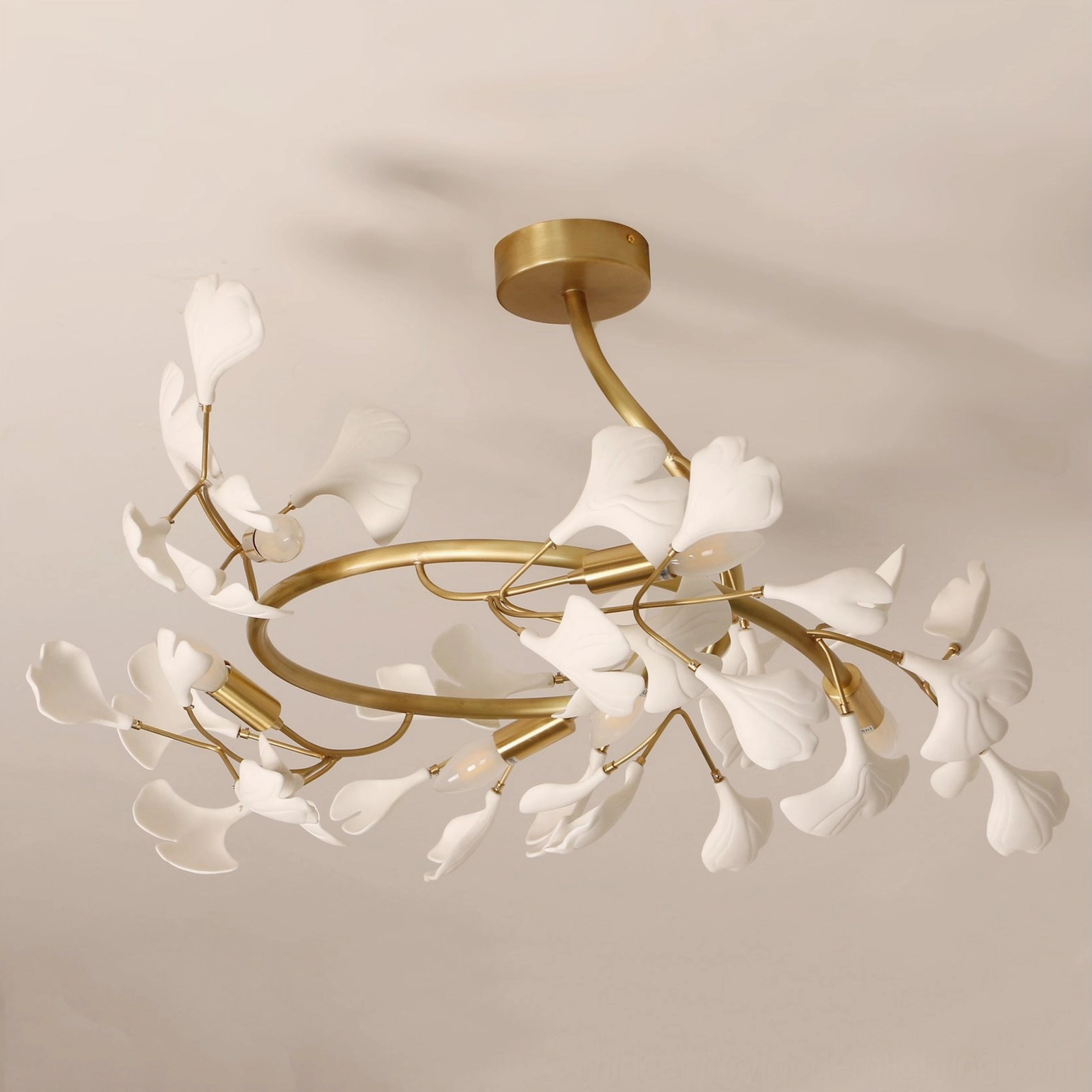 Frontal view of ginkgo leaf ceiling chandelier with circular brass base