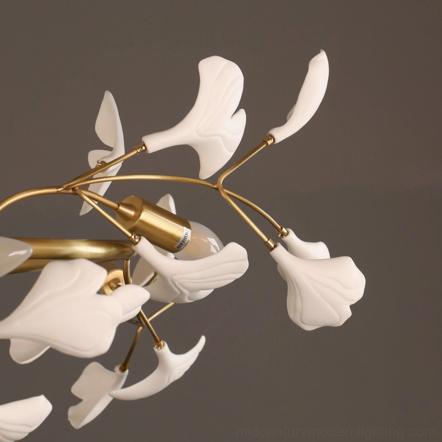 Side angle view of ginkgo ceiling lamp with exposed E14 bulb sockets and leaf ornaments