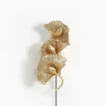 Ginkgo leaf brass wall lamp with sculptural fan-shaped design in golden finish, front studio view
