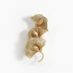 Ginkgo leaf wall lamp three brass gold sculptural leaves embossed veins mid-century modern sconce studio view