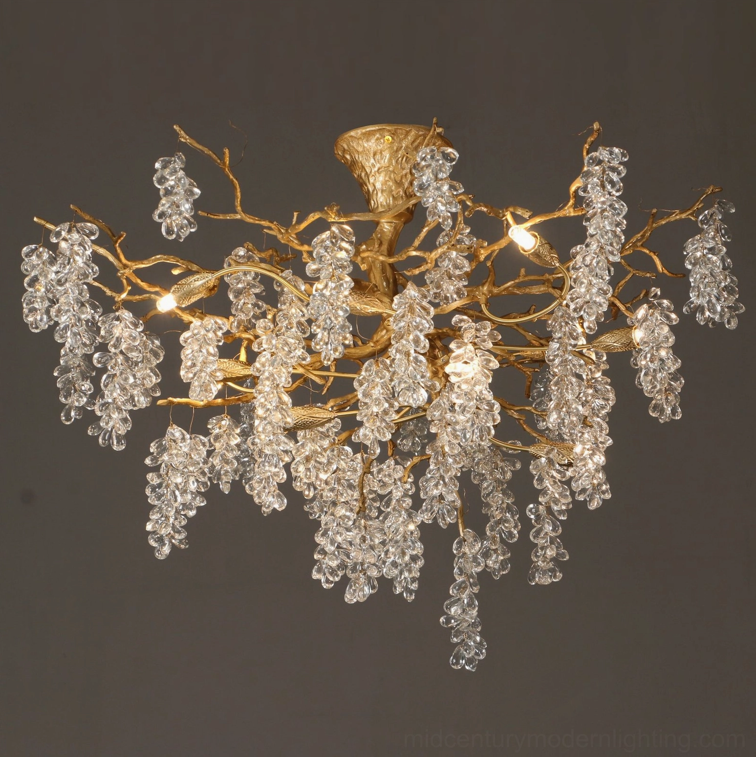 Artistic overhead photography of grape bunch chandelier showing intricate branching pattern and pendant light distribution