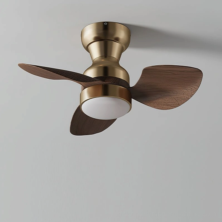 Haiku organic modern DC motor ceiling fan light, 26-inch minimalist design, premium ABS walnut blades, complete product showcase
