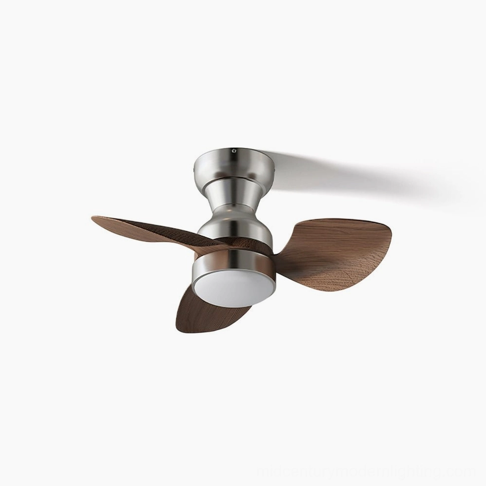Haiku organic modern ceiling fan light with DC motor, 26-inch blade span, studio front view with flowing curved design on white background