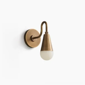 Harlan Gooseneck Wall Sconce in Antique Brass with frosted bulb, frontal studio close-up showing curved arm and aged brass finish