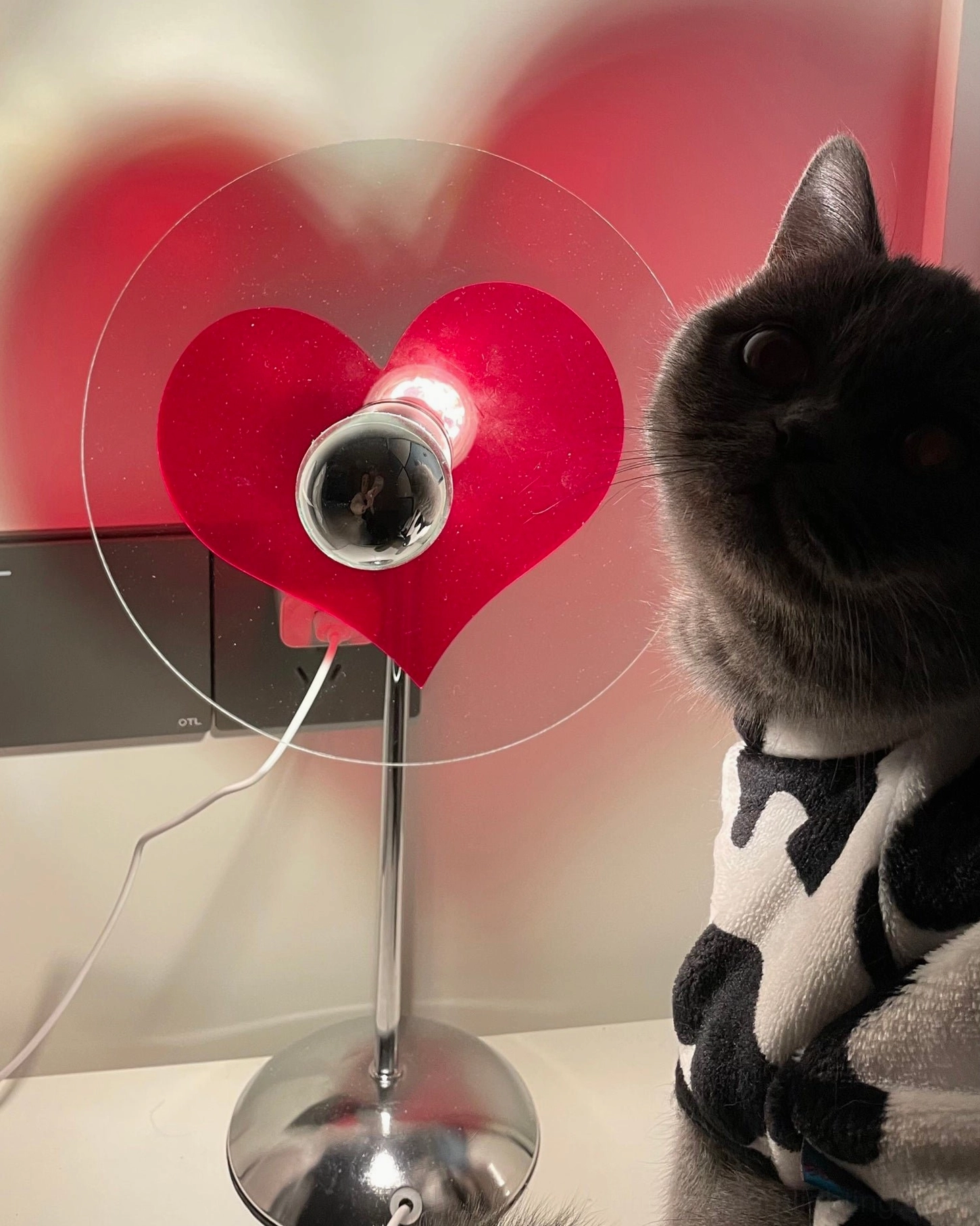 Heart-shaped LED lamp providing approximately 3 hours maximum power and 10 hours minimum power continuous use