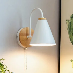 Modern Kenji wall reading lamp mounted on residential wall with warm ambient lighting and pull chain switch detail
