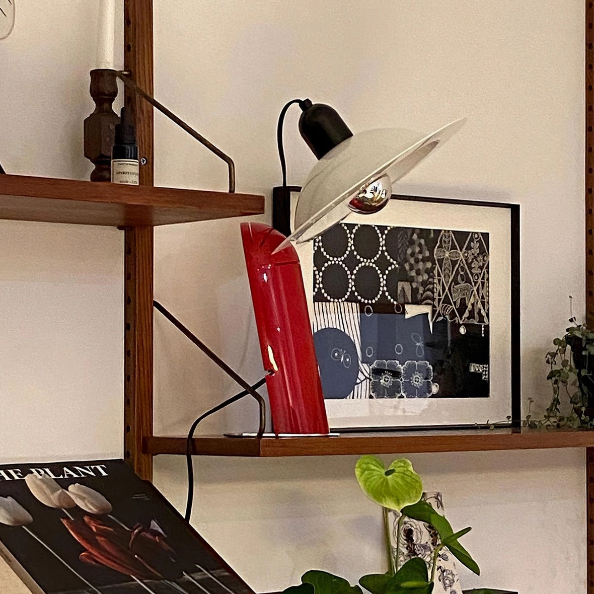 Lampiatta table lamp showcase displaying contemporary design aesthetic with smooth metal finish and geometric disc shape