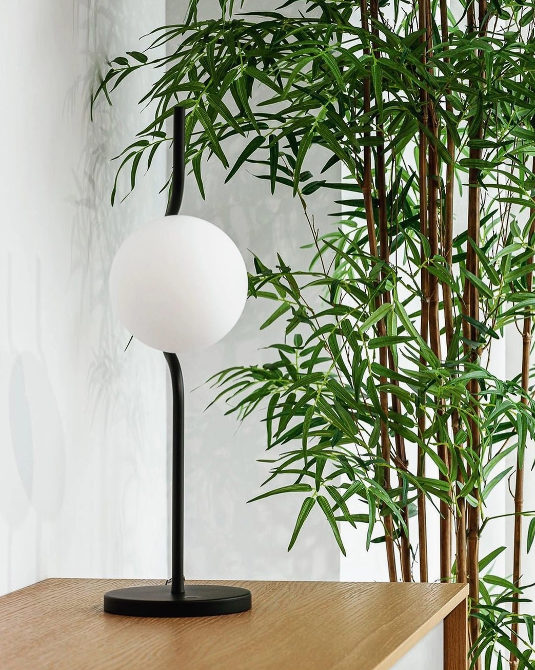 Straight stem Levita table lamp with black metal frame and frosted white glass shade in modern interior with plants