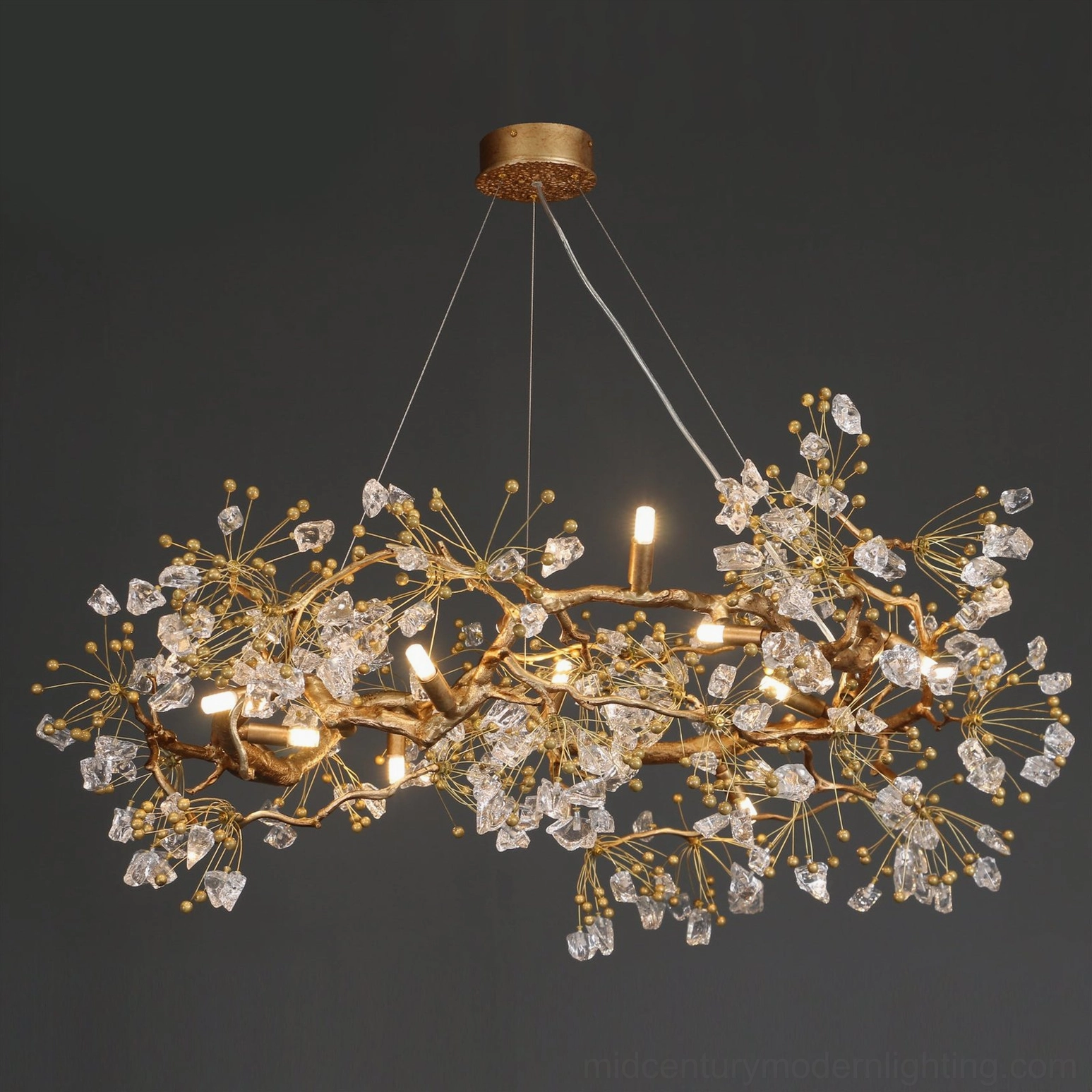 Botanical glass chandelier casting decorative shadows and light patterns