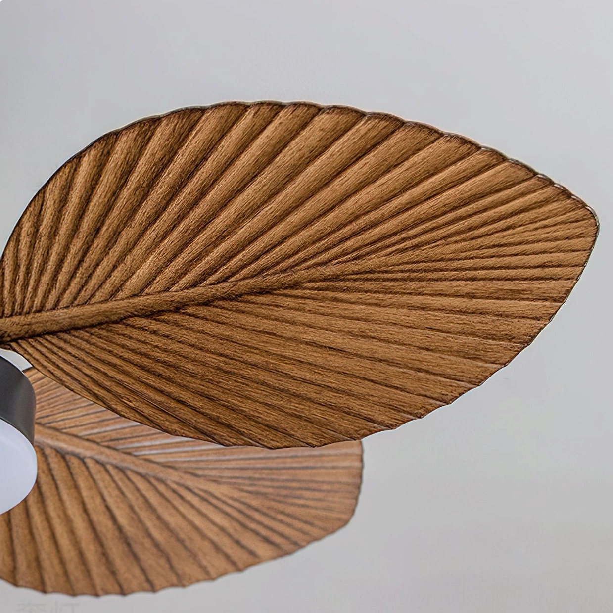 Maris ceiling fan palm blade close-up detail showing fine linear wood grain texture