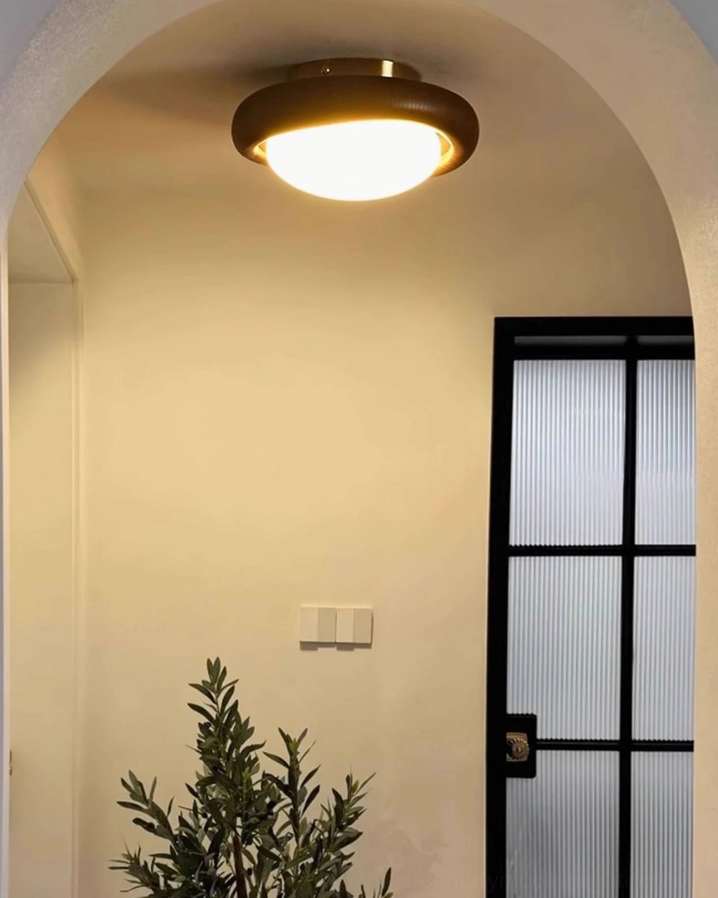 Novi mid-century ceiling fixture mounted in archway with frosted glass and potted plant styling