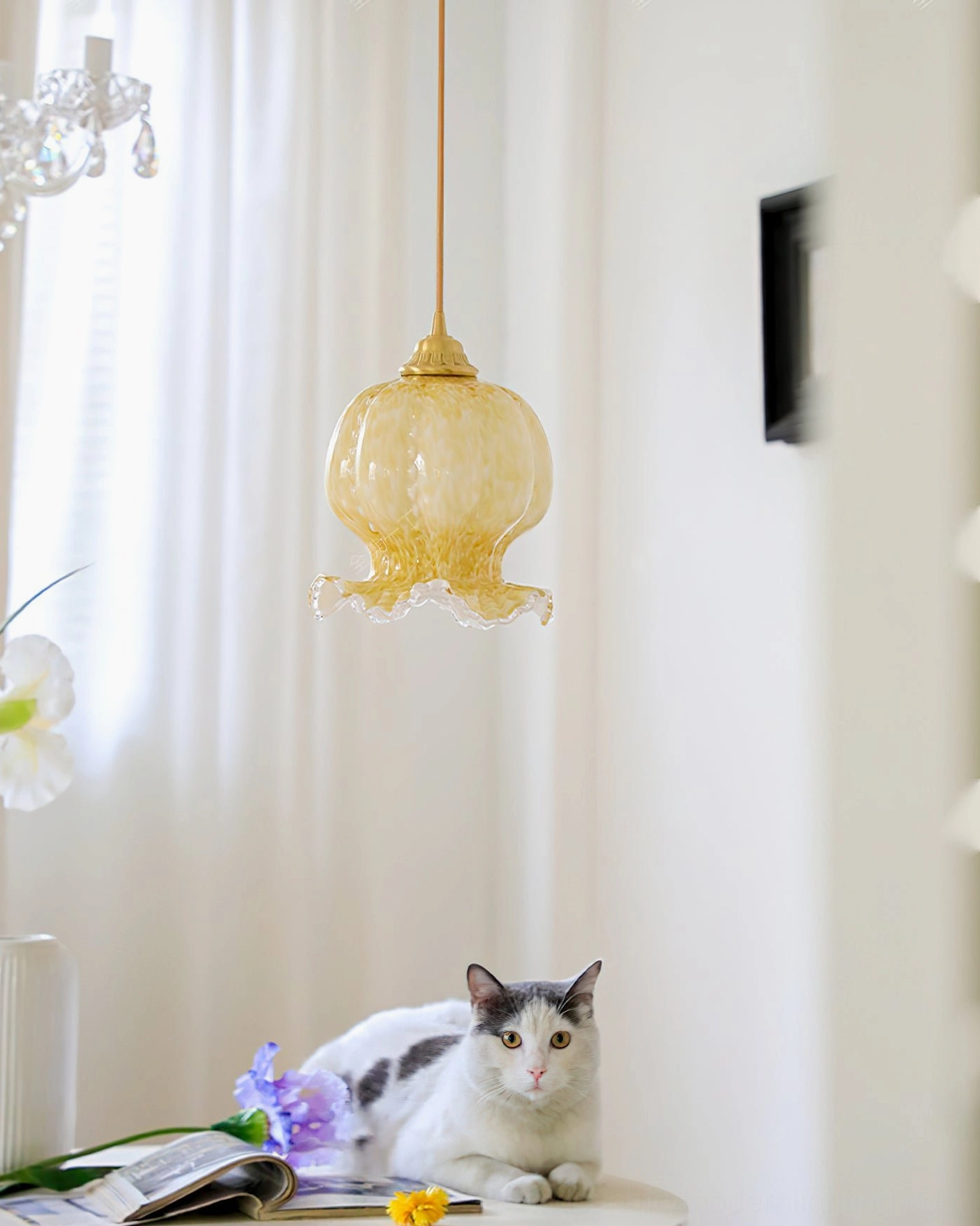 Ozera amber glass pendant light hanging in bright bedroom with sheer curtains and natural lighting