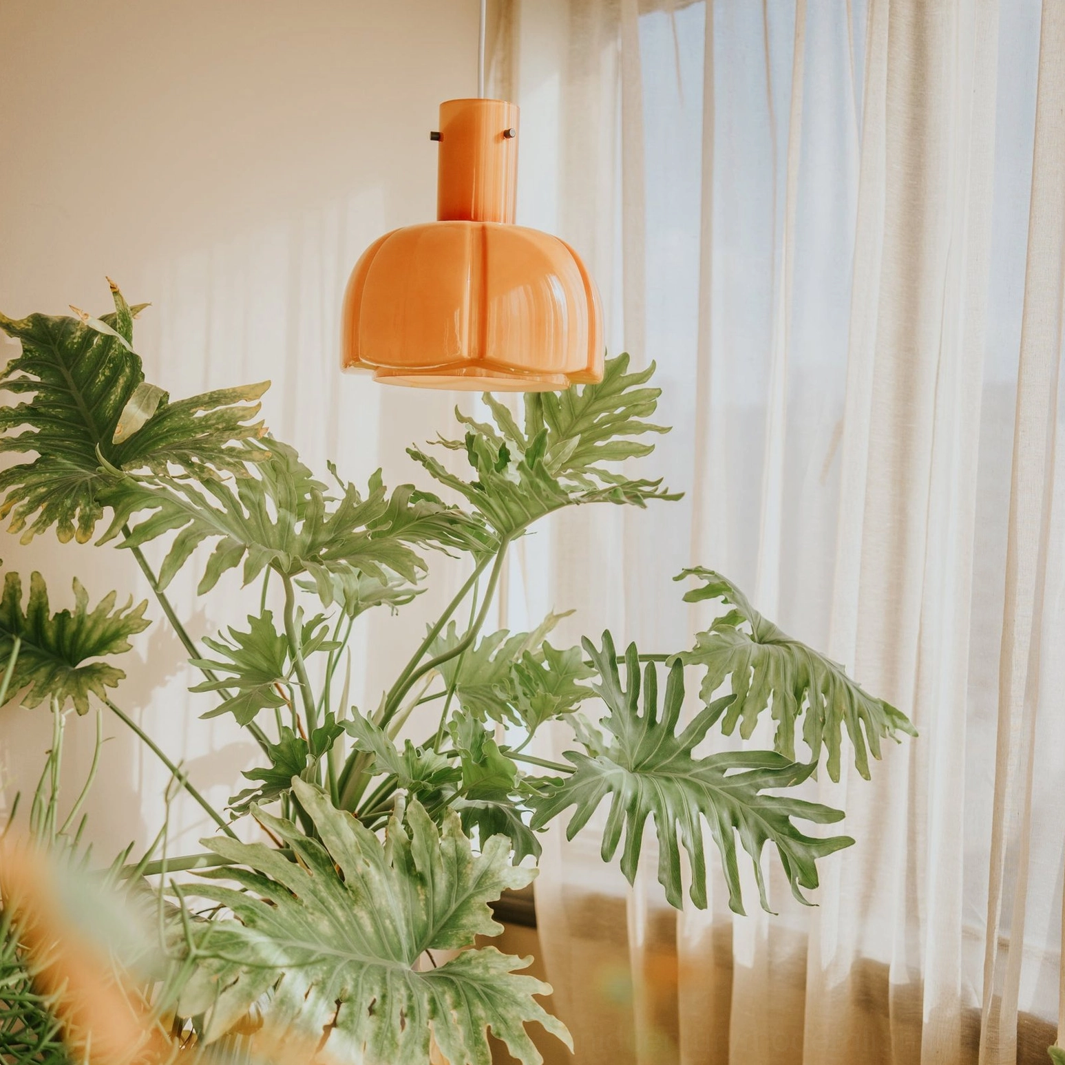 Paolina pendant light multiple fixtures grouped installation creating dramatic ceiling design