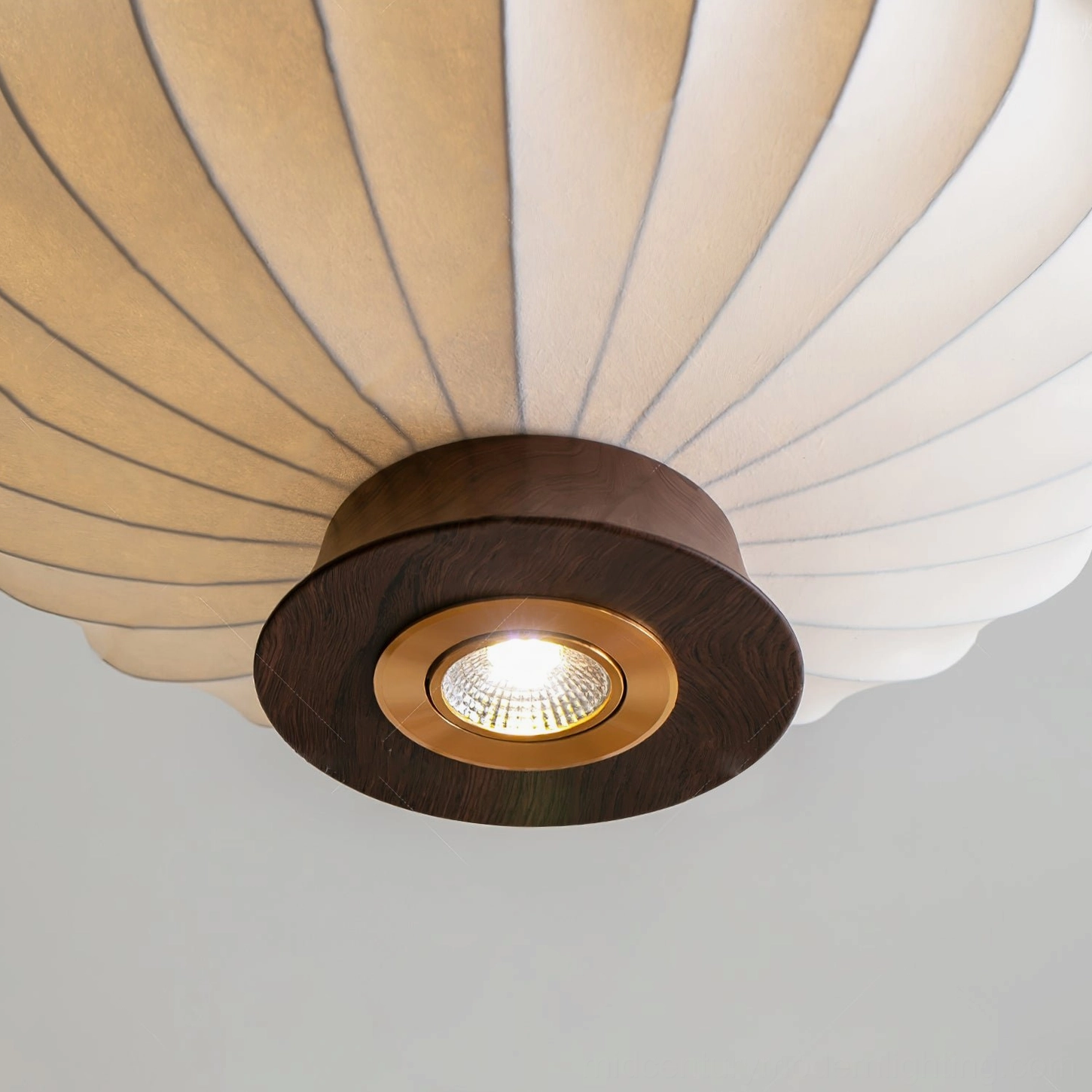 Pendant light interior fixture with COB spot lamp and walnut wood decorative trim, upward bottom view detail