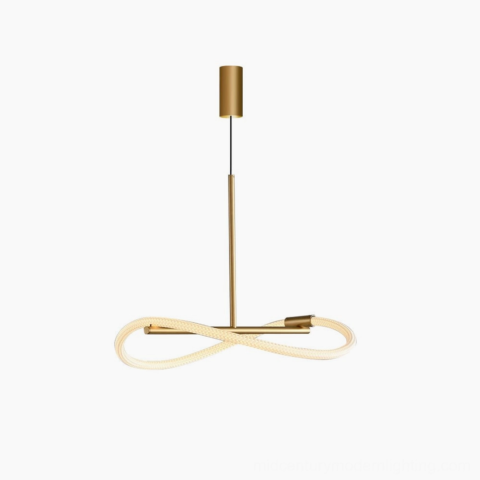 Perpetual Infinity Pendant Lamp two-tone design with black hardware and brass gold light loop - studio view