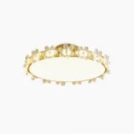 Petal crystal ceiling light with brushed brass frame and faceted crystal trim on white background