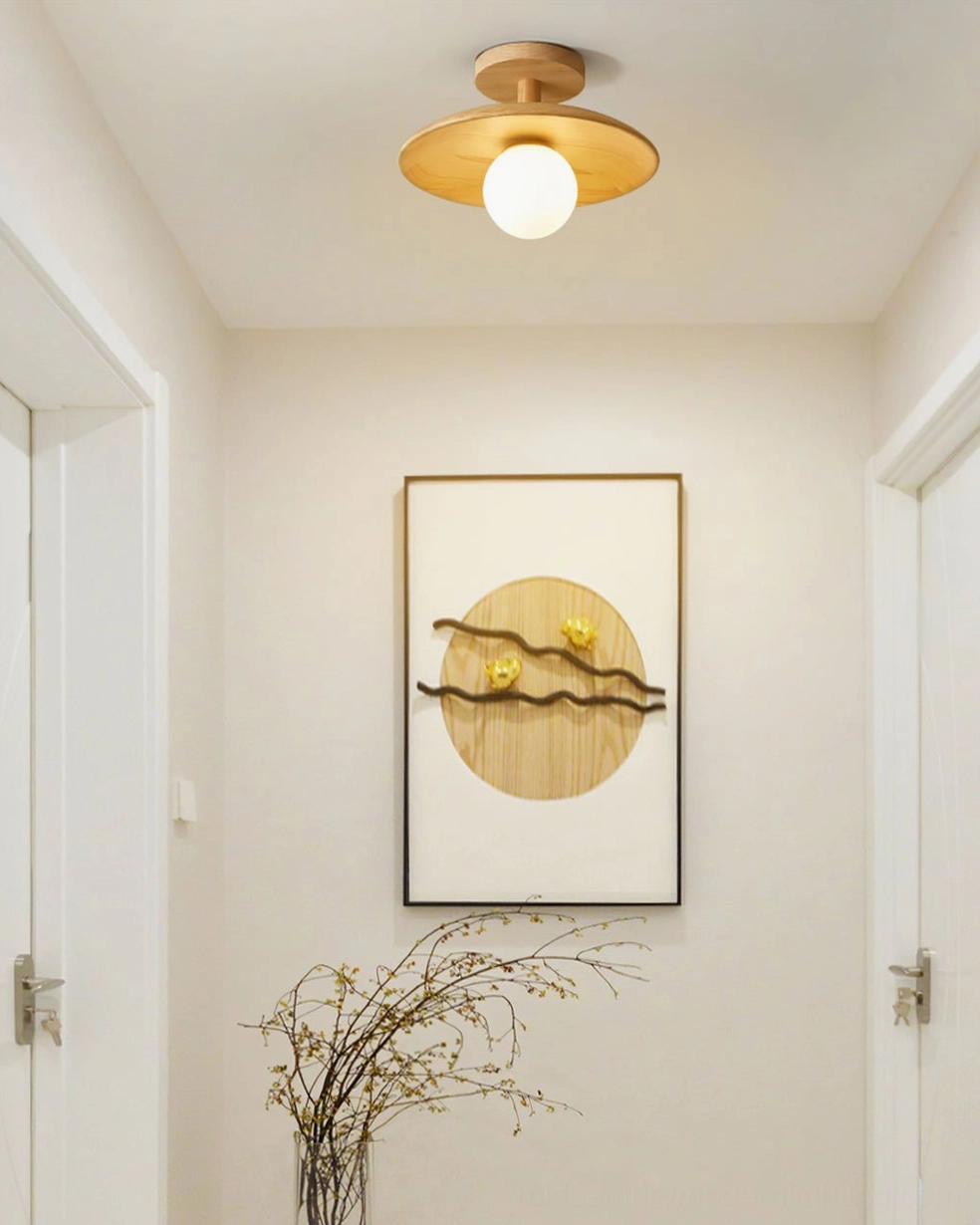 Plafon small diameter ceiling lamp in entryway creating warm welcoming illumination