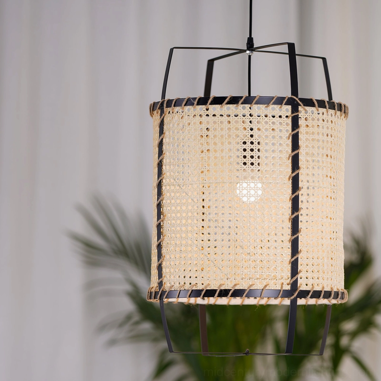 Rattan cane pendant lighting fixture in bohemian interior setting with green plants, wall-mounted, showcasing black metal frame and open rattan weave
