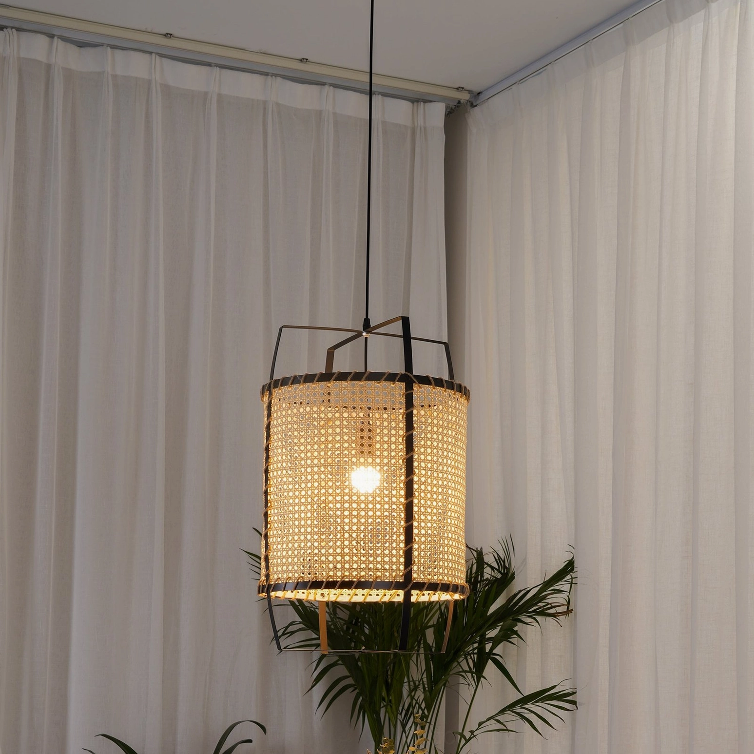 Rattan cane pendant light suspended from ceiling, casting warm ambient light through woven mesh in minimalist bohemian interior with palm plants and window curtains