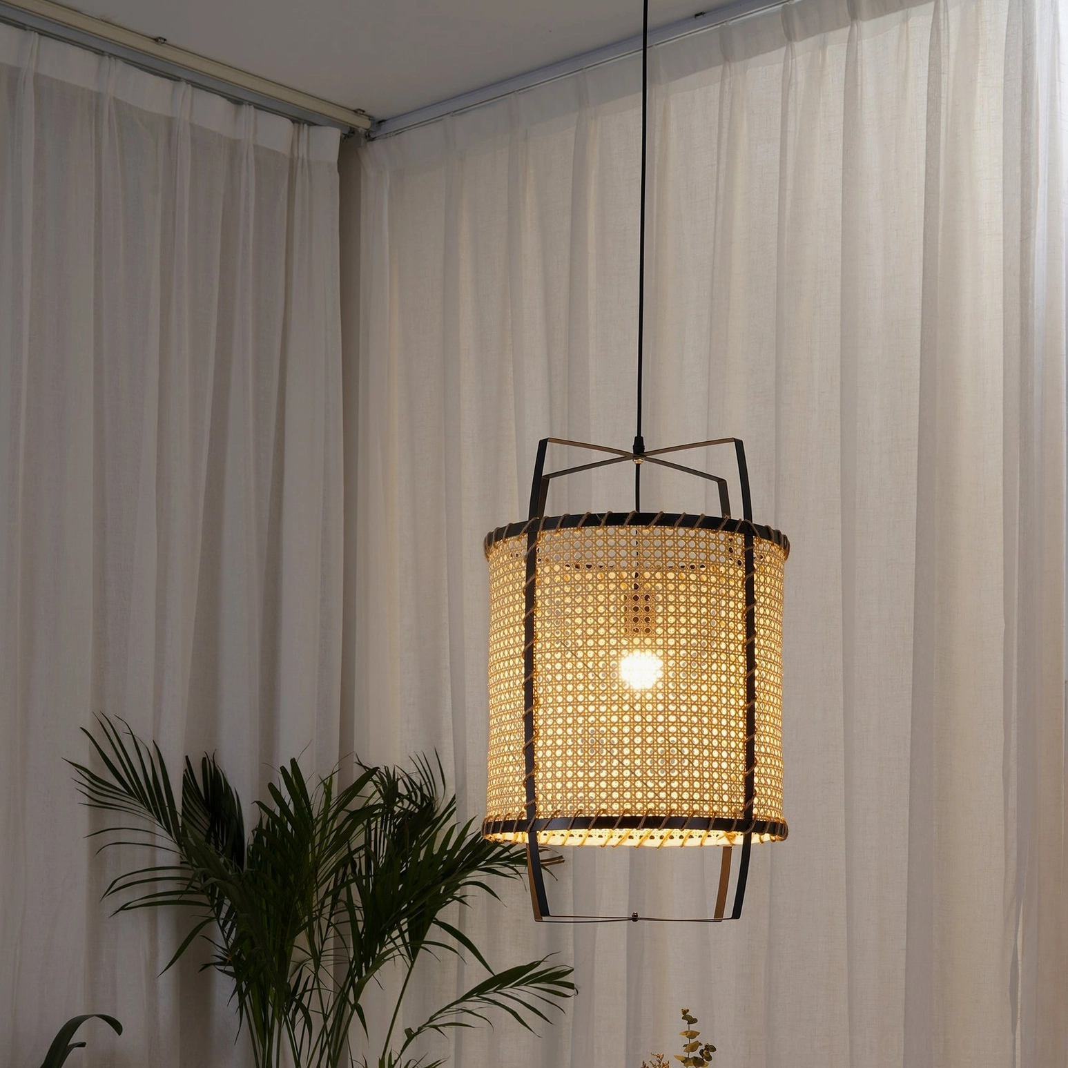 Rattan cane pendant lamp hanging indoors, illuminated with warm glow, styled with green foliage and sheer window curtains creating bohemian ambiance